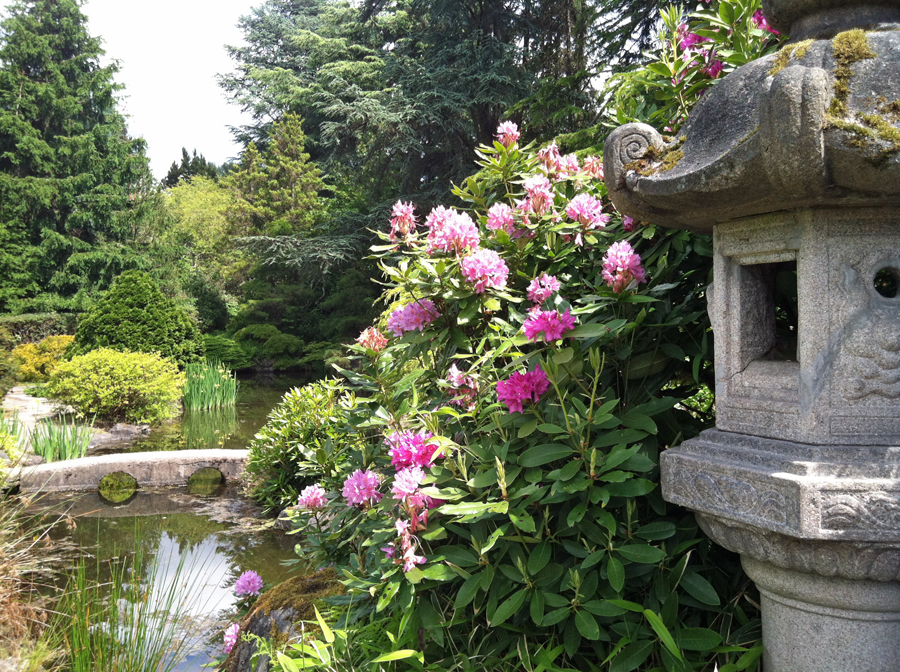 Kubota Garden A Hidden Gem In South Seattle Seattle Bloggers
