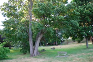 Magnolia Park in Seattle