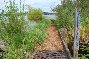 Arboretum Waterfront Trail
