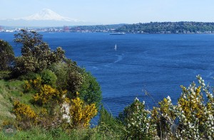 Best Views of Seattle | Magnolia Boulevard