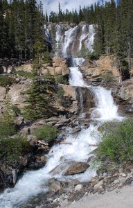 Tangle Falls | Banff National Park