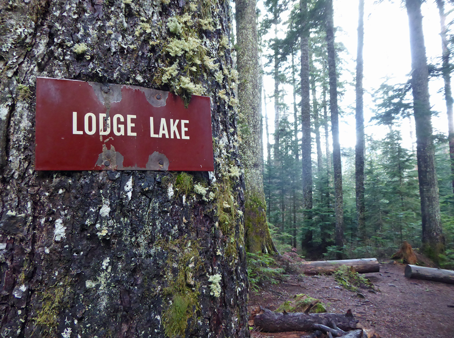 Lodge Lake Washington