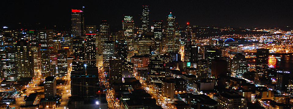 The View From the Space Needle at Night