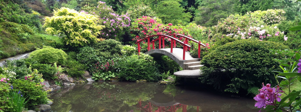 Kubota Garden | A Hidden Gem in South Seattle