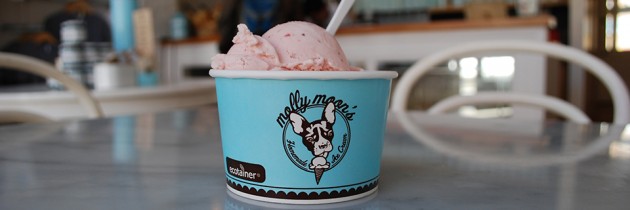 Molly Moon’s Ice Cream | Gourmet Ice Cream in Seattle