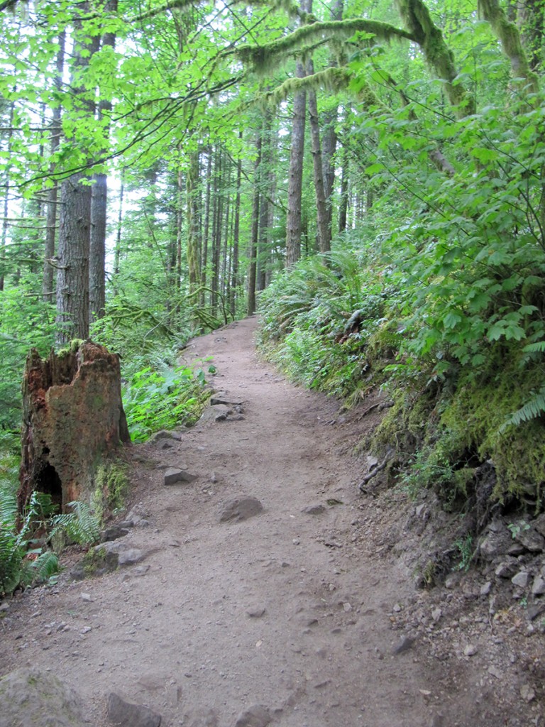 Rattlesnake Ledge