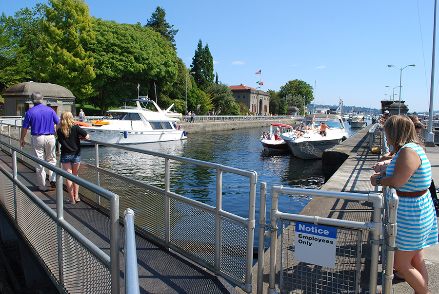 Boats wait for the locks to open up so they can continue to Puget Sound.