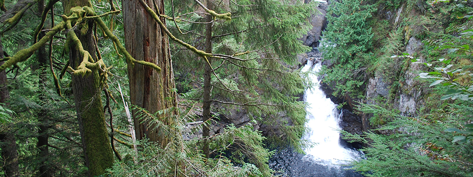 Twin Falls Trail | A Fun Hike For All Ages