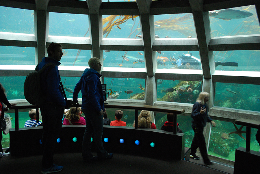 Seattle Aquarium | Underwater Dome