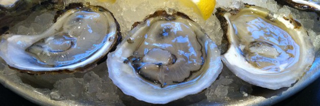 Taylor Shellfish | Fresh Oysters on Capitol Hill