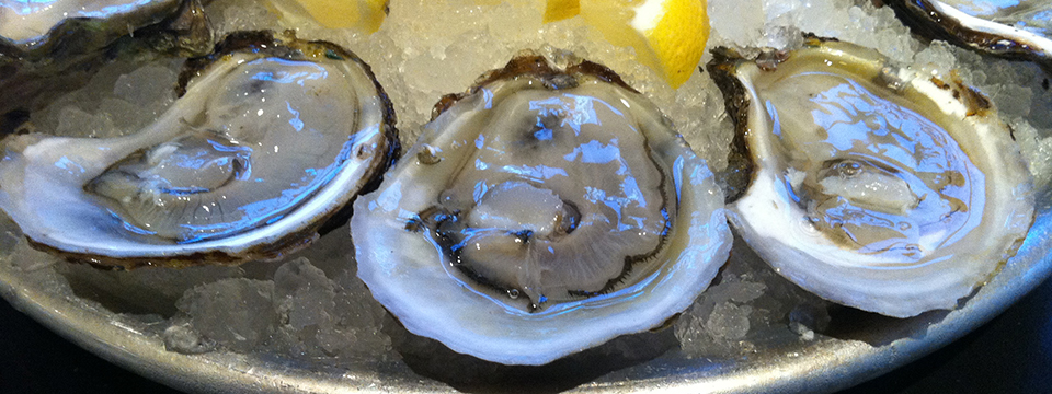 Taylor Shellfish | Fresh Oysters on Capitol Hill