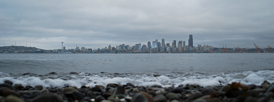 Seacrest Park | Incredible View of Seattle Skyline