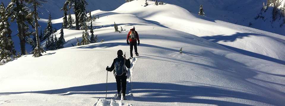 Snowshoeing at Mount Baker