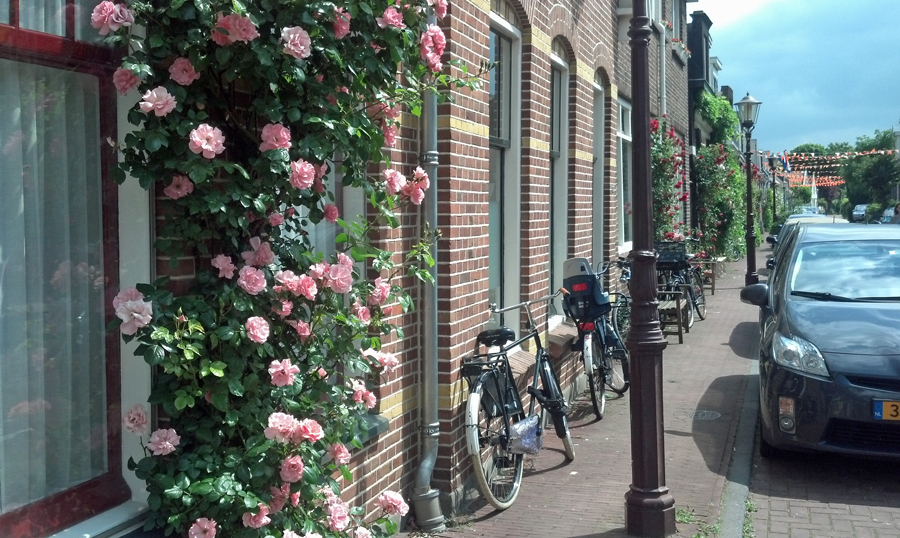 Amsterdam-Noord