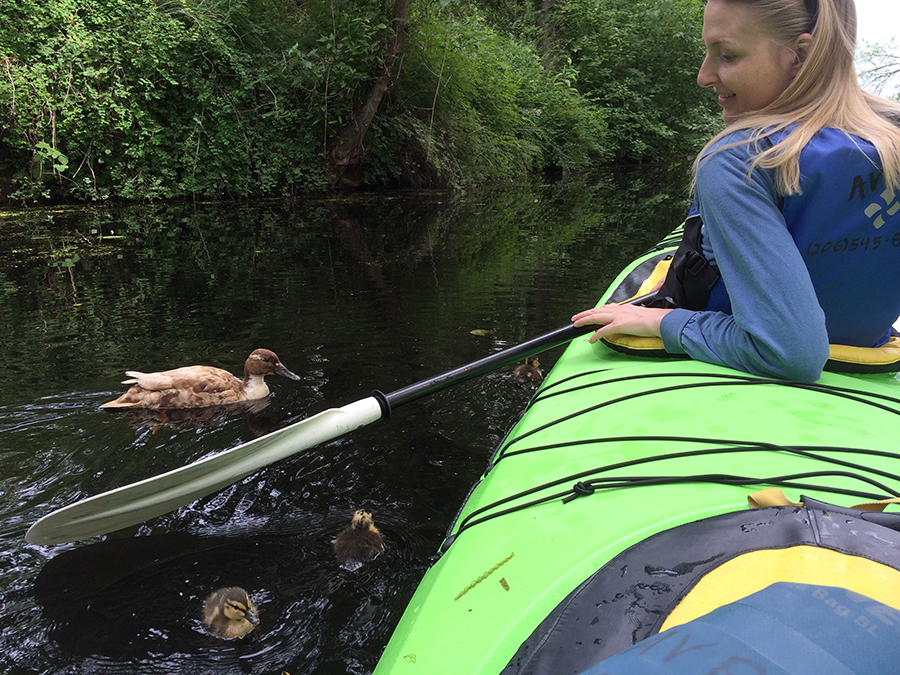 We spotted lots of wildlife on our kayak trip through Washington Arboretum Park.
