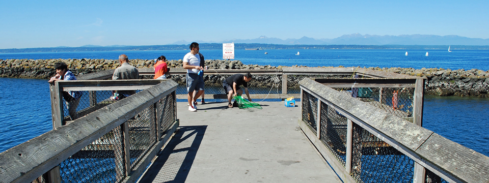 Shilshole Bay Marina | Crabbing in Seattle