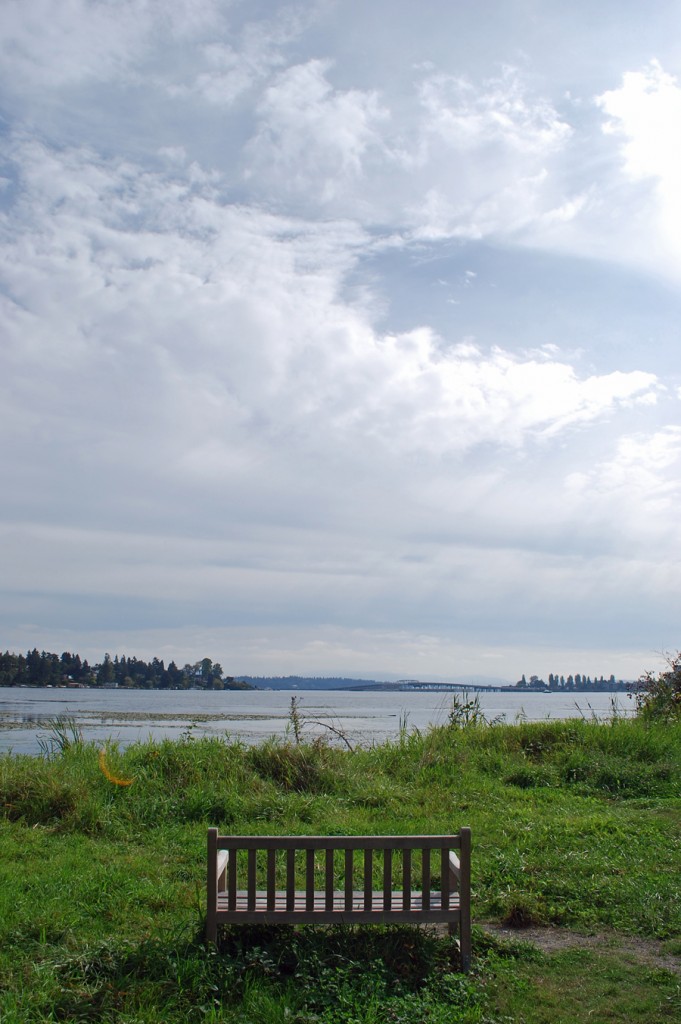 Union Bay Natural Area Seattle