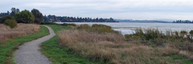 Union Bay Natural Area | An Escape From City Life in Seattle | Seattle  Bloggers