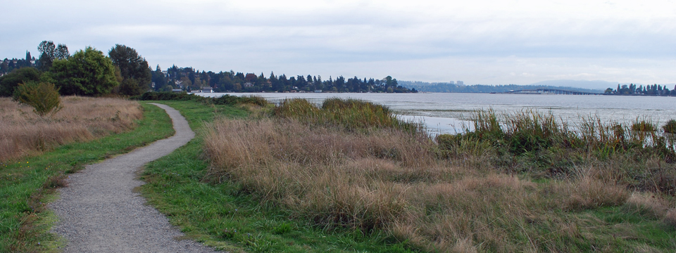Union Bay Natural Area in Seattle