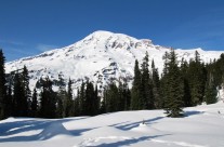 Nisqually Vista Snowshoe at Mount Rainier National Park