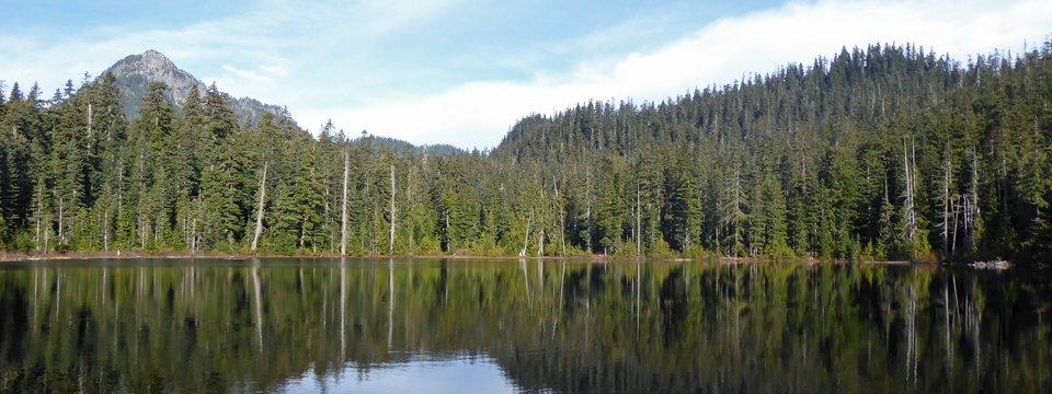 Lodge Lake | A Short Hike Near Snoqualmie Pass
