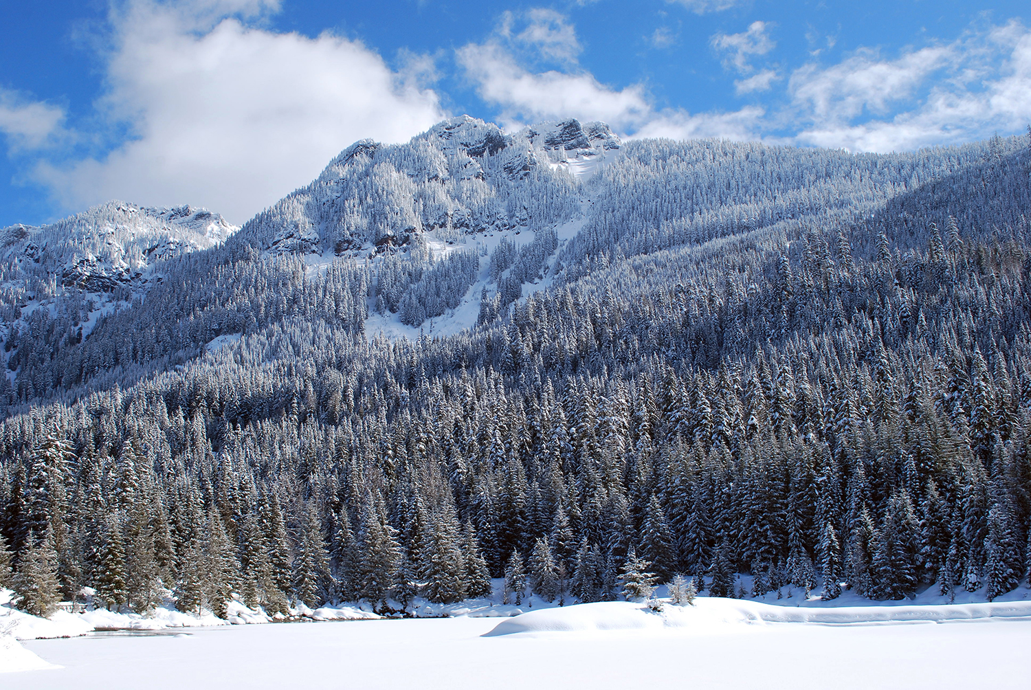 Snoqualmie Pass Snowshoeing at Gold Creek Pond