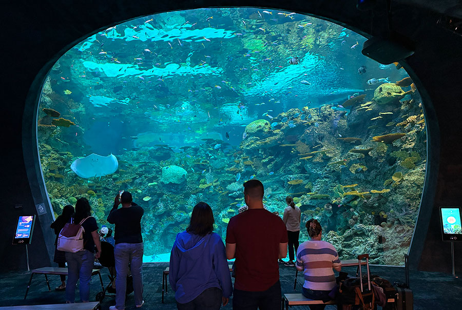 Seattle Aquarium Ocean Pavilion