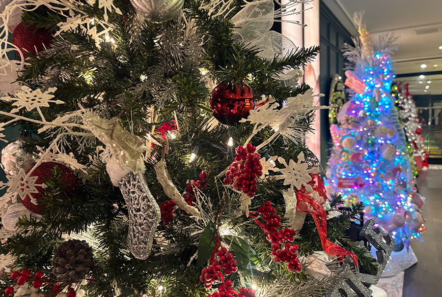 Christmas trees the Seattle Festival of Trees