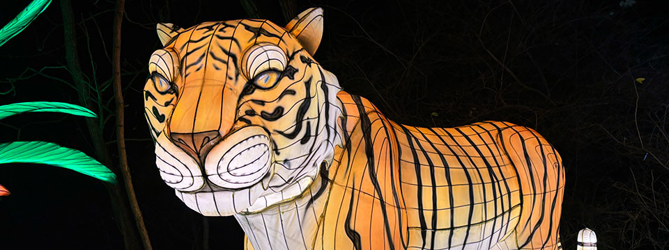 WildLanterns at Woodland Park Zoo | A Seattle Holiday Tradition