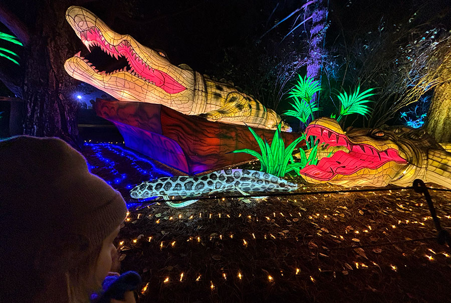 Crocodile lanterns at Woodland Park Zoo