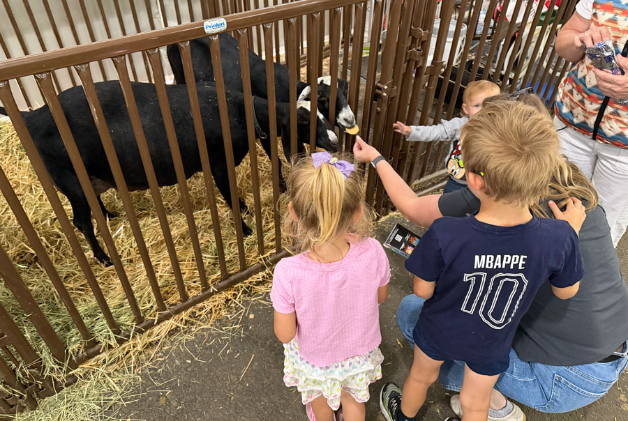 Our family feeding a goat at the Washington State Fair